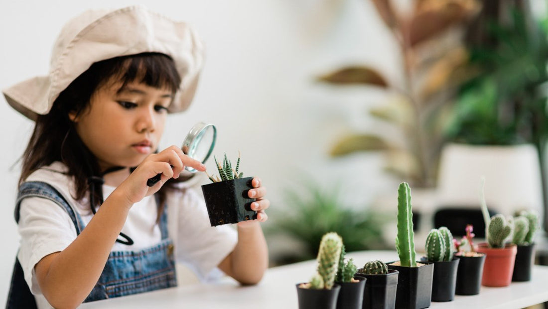 Activités Montessori : 3 Secrets pour libérer le potentiel de votre enfant et renforcer le lien parent-enfant - Monti Family