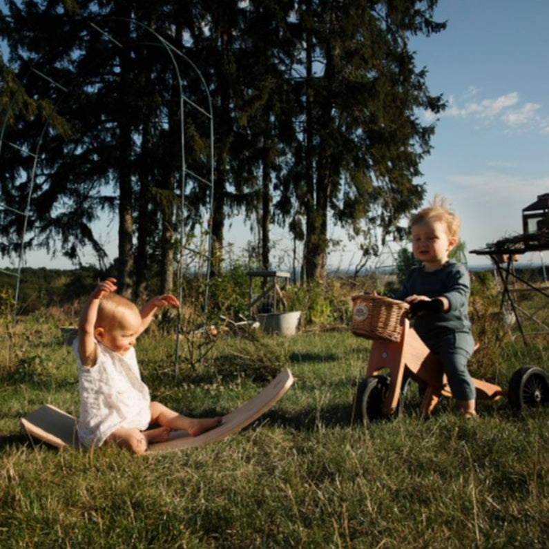 Wooden balance board - Monti family